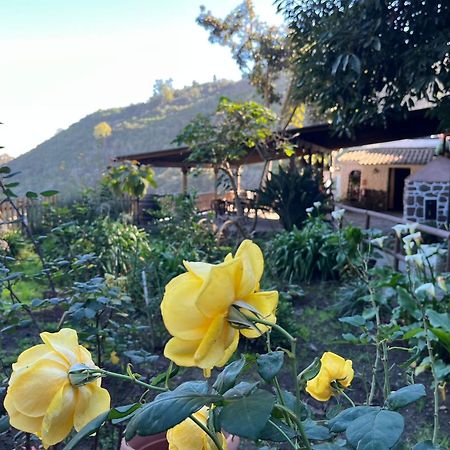 Finca Los Arcos Del Laurel Moya  Dış mekan fotoğraf
