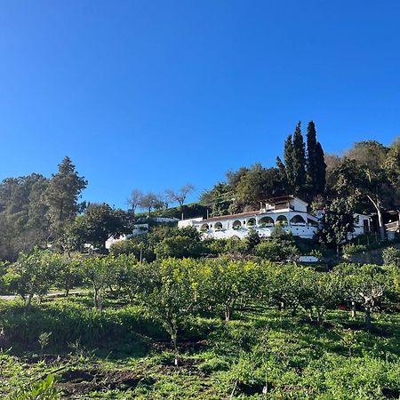 Finca Los Arcos Del Laurel Moya  Dış mekan fotoğraf