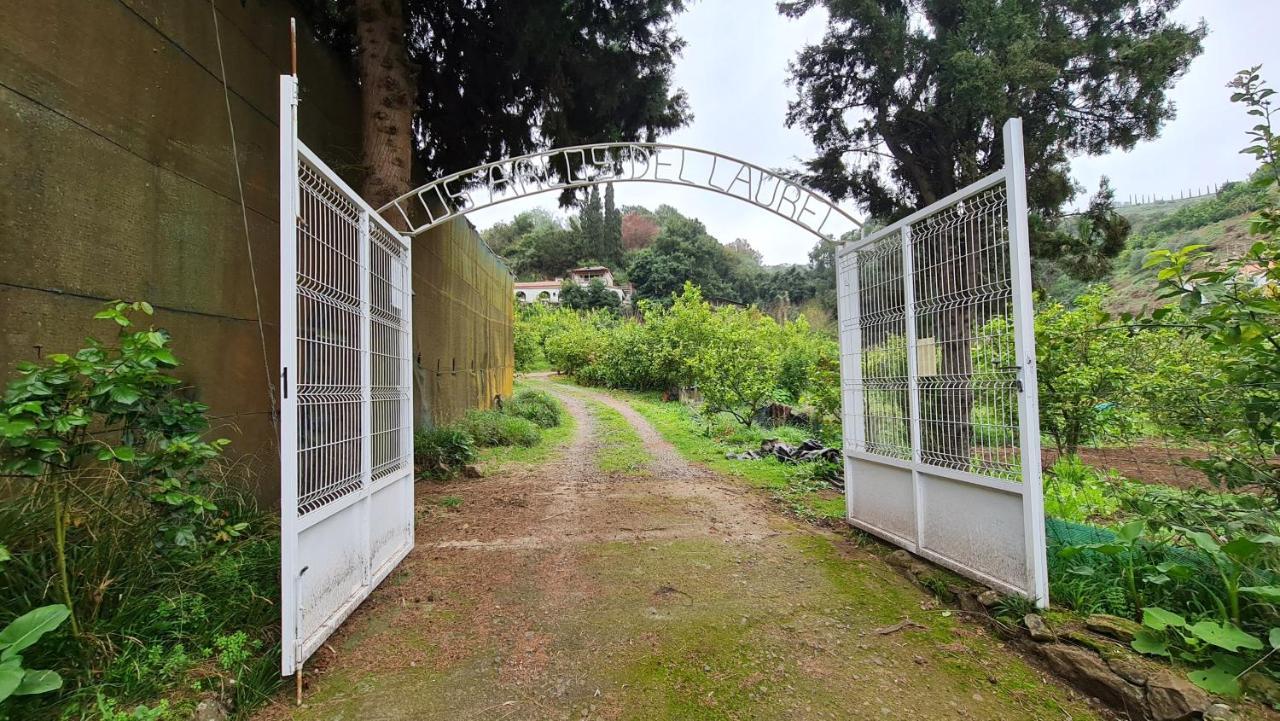 Finca Los Arcos Del Laurel Moya  Dış mekan fotoğraf
