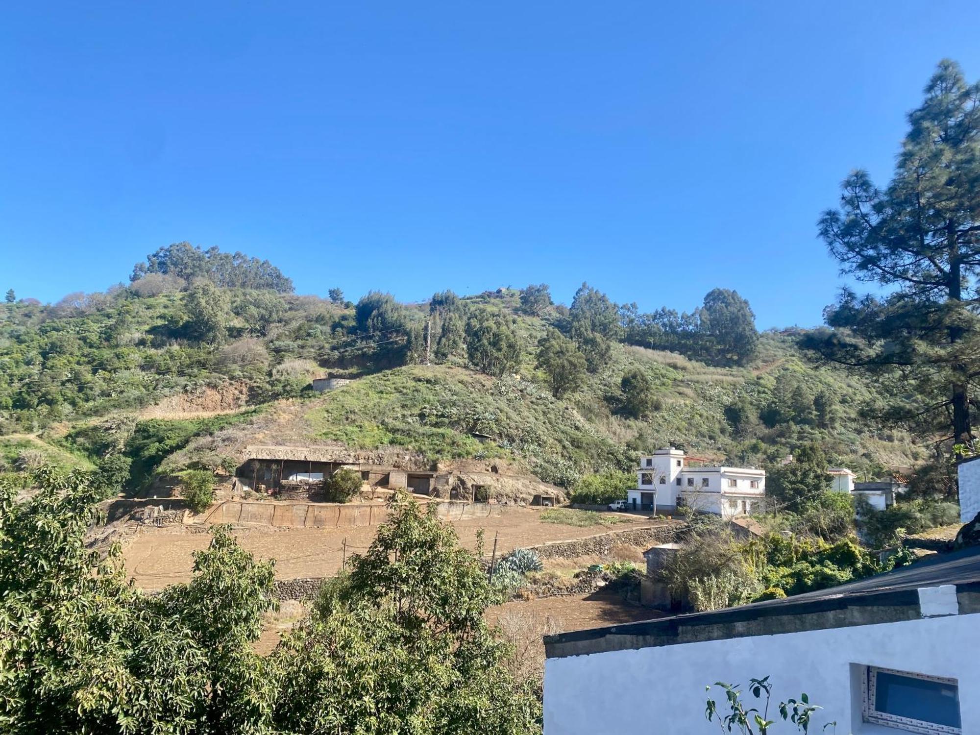 Finca Los Arcos Del Laurel Moya  Dış mekan fotoğraf