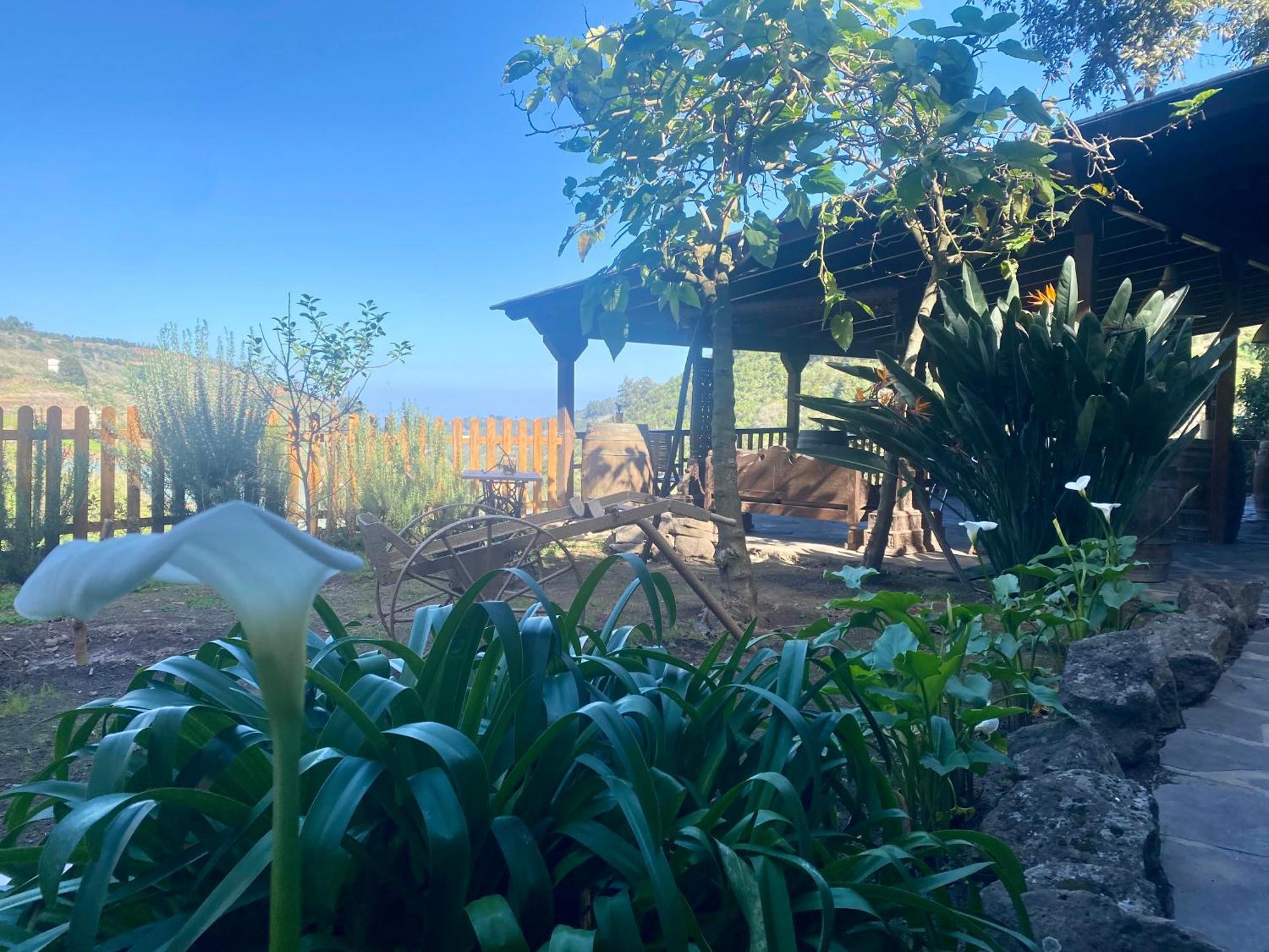 Finca Los Arcos Del Laurel Moya  Dış mekan fotoğraf