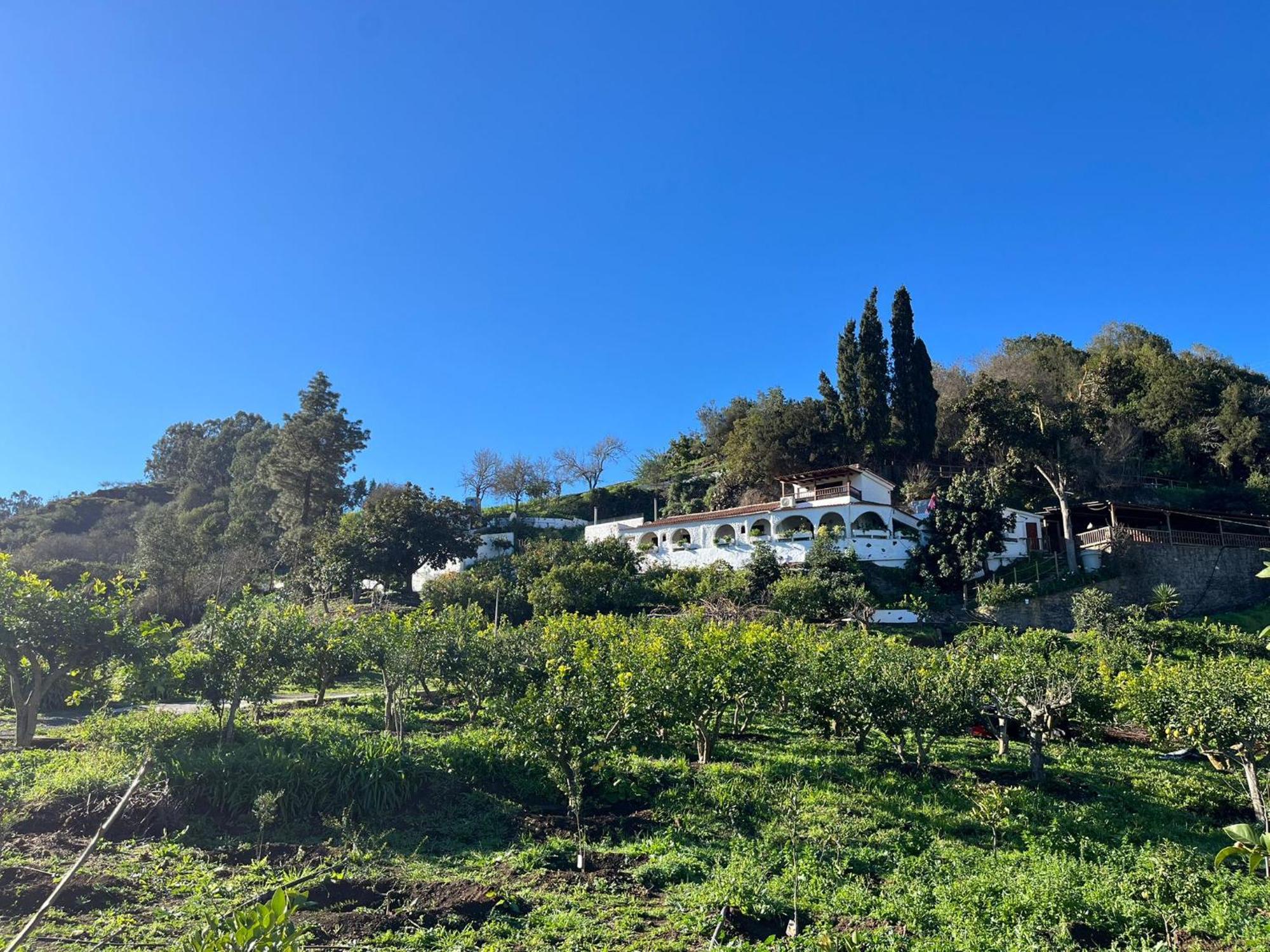 Finca Los Arcos Del Laurel Moya  Dış mekan fotoğraf