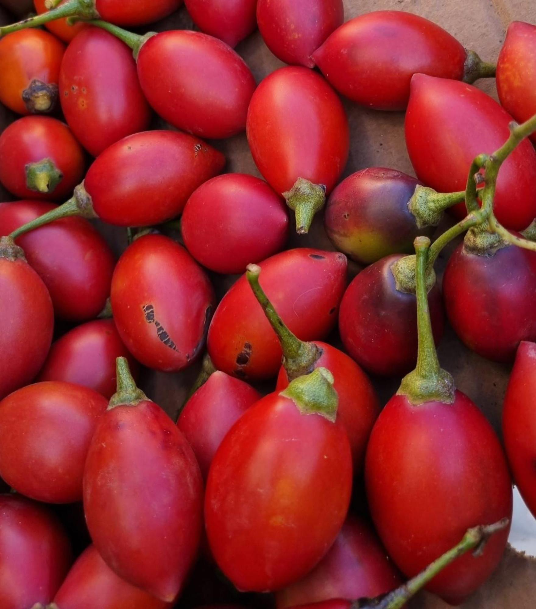 Finca Los Arcos Del Laurel Moya  Dış mekan fotoğraf