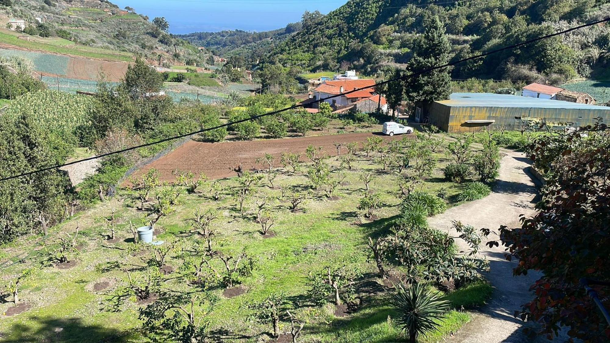 Finca Los Arcos Del Laurel Moya  Dış mekan fotoğraf