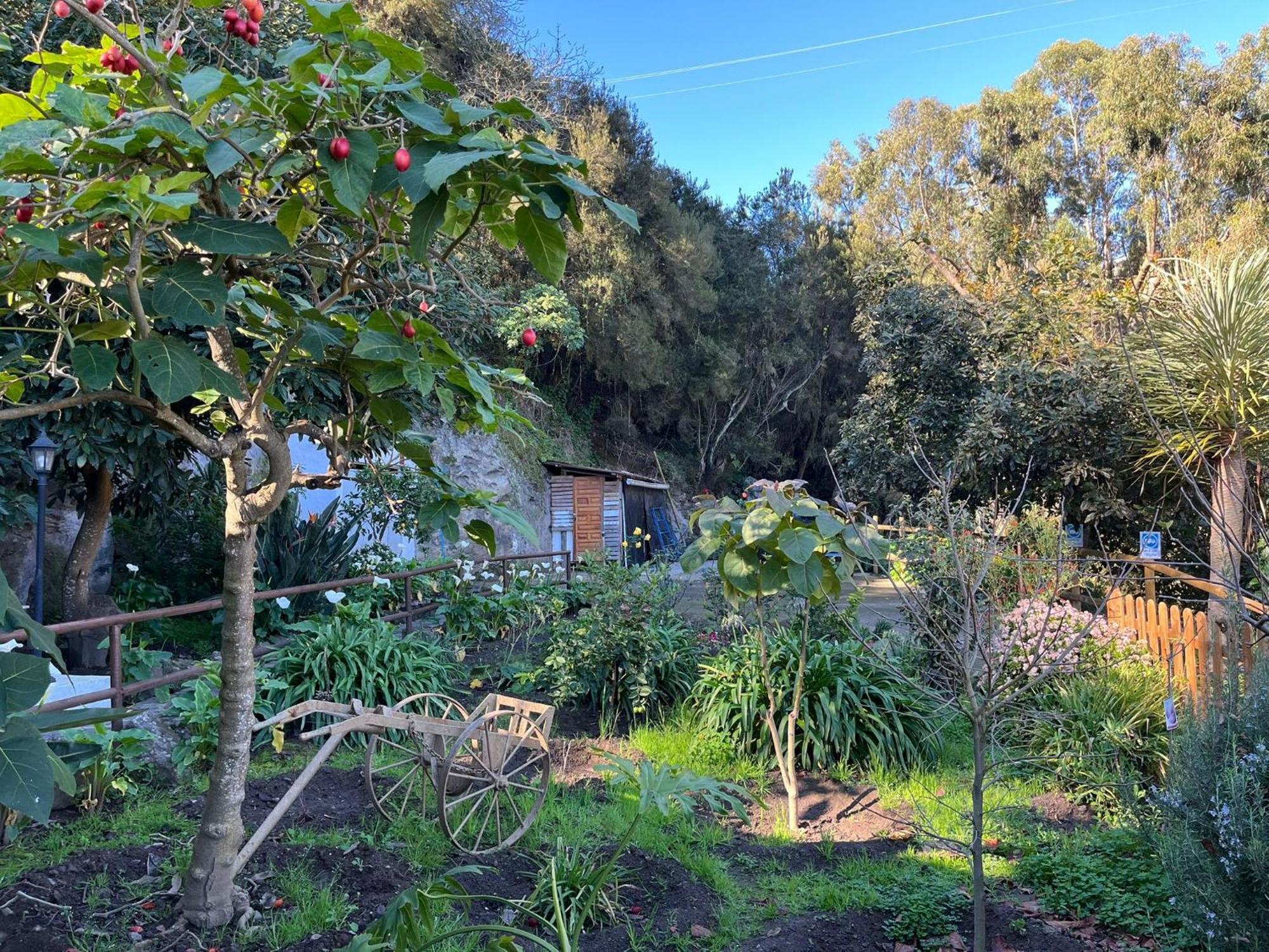 Finca Los Arcos Del Laurel Moya  Dış mekan fotoğraf