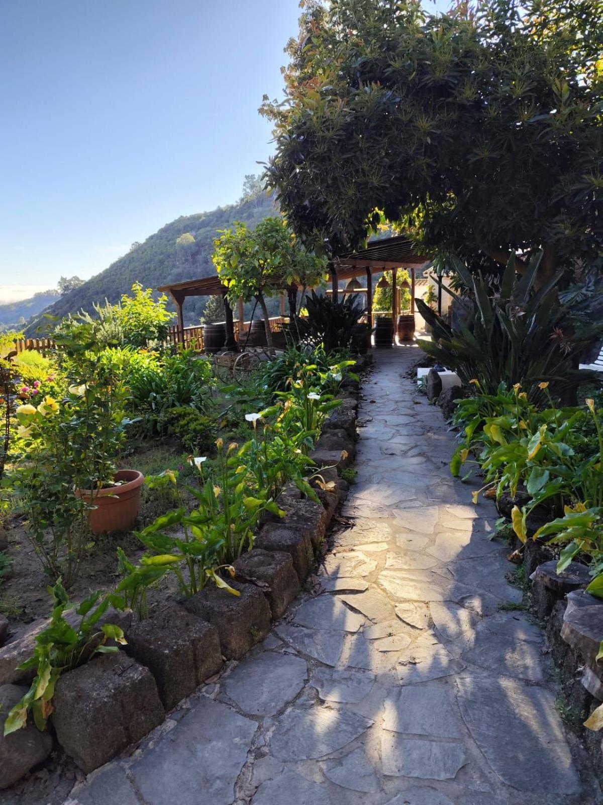 Finca Los Arcos Del Laurel Moya  Dış mekan fotoğraf