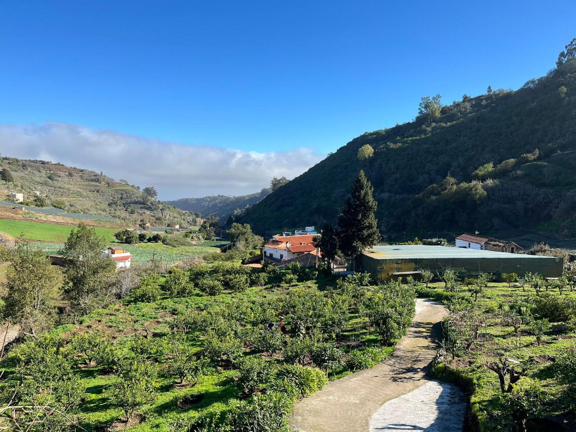 Finca Los Arcos Del Laurel Moya  Dış mekan fotoğraf
