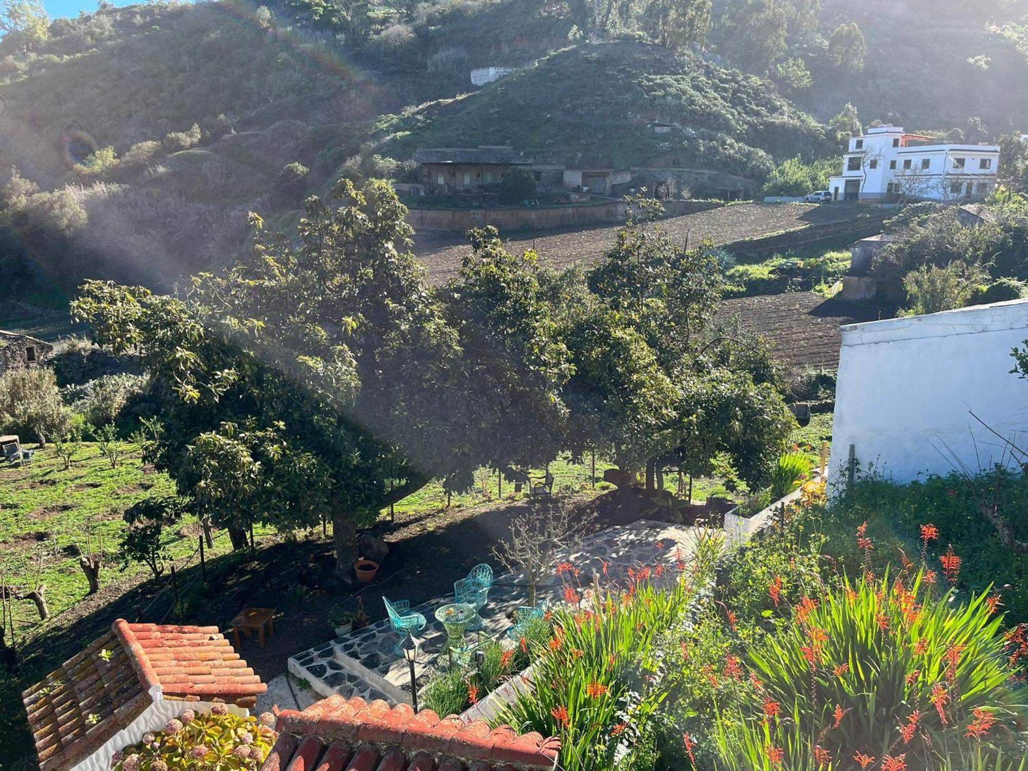 Finca Los Arcos Del Laurel Moya  Dış mekan fotoğraf