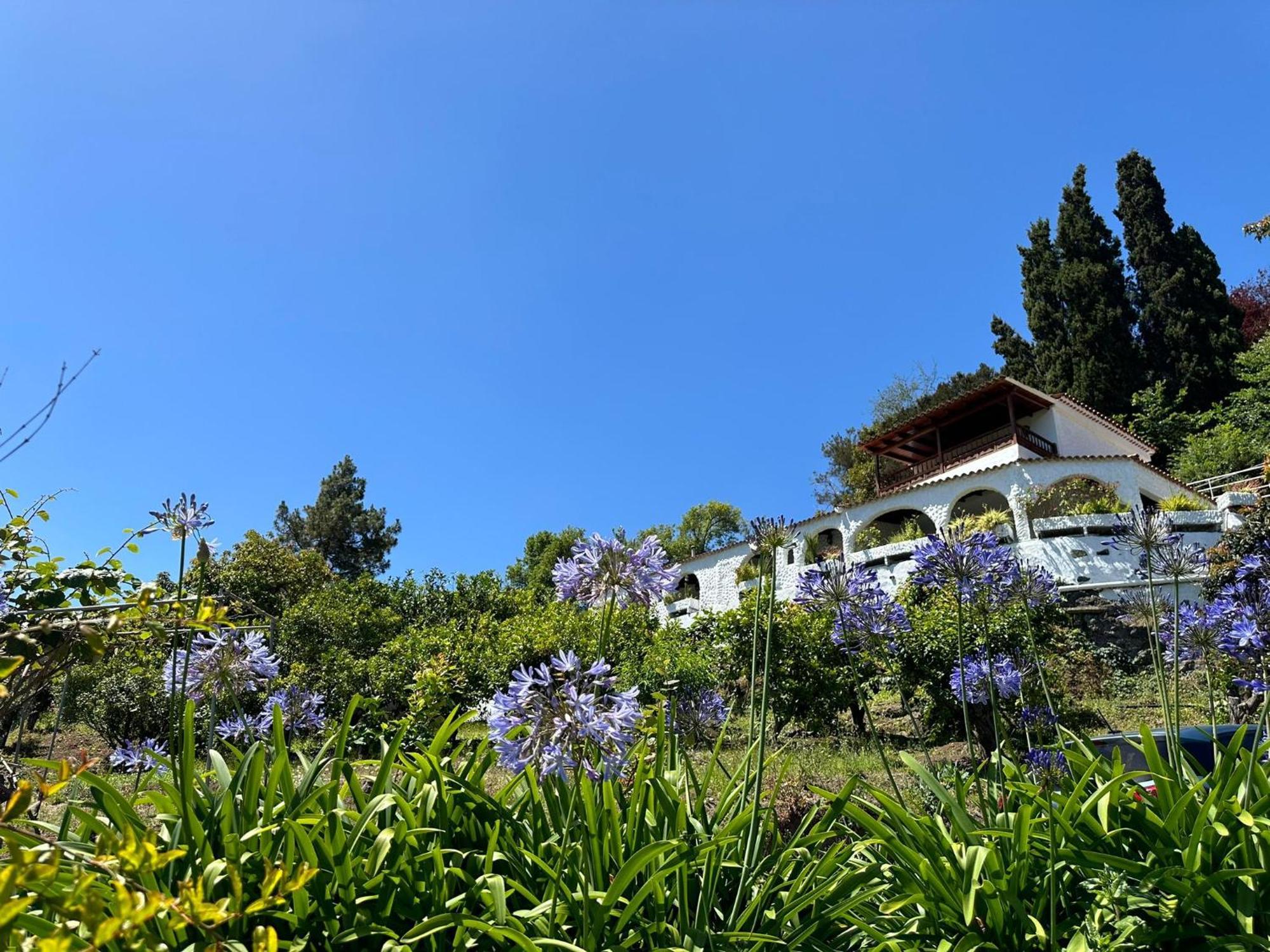 Finca Los Arcos Del Laurel Moya  Dış mekan fotoğraf